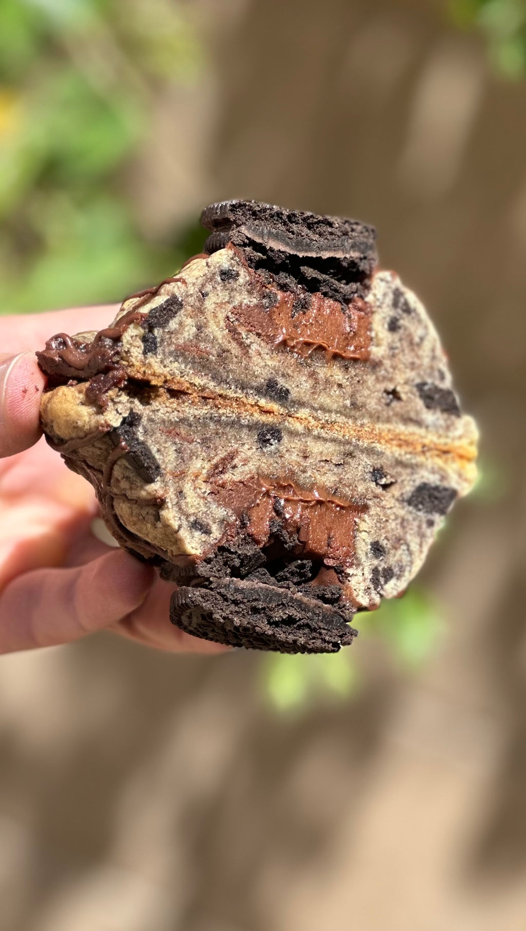 Devil’s Food Cake